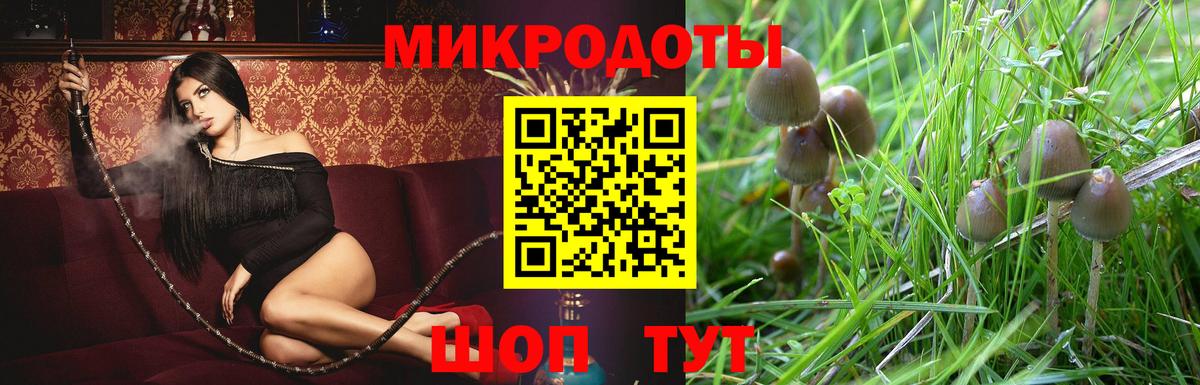 Псилоцибиновые грибы Cubensis  Галлюциногенные грибы Psilocybine cubensis  Вход с VPN  Изобильный 
